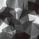 Black Origami