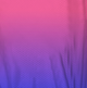 Pinky Blue