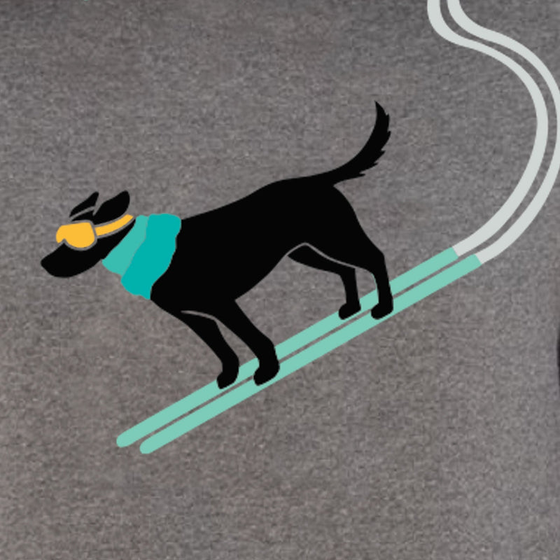 Lab Ski Hoodie Dress - Preorder