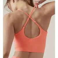 NWT Athleta Elation V-Neck Crop D-DD In Coral 2X